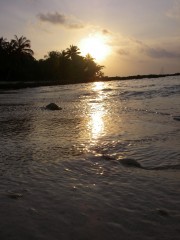 Indo sunset