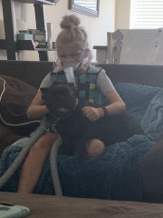 Brodie And dog